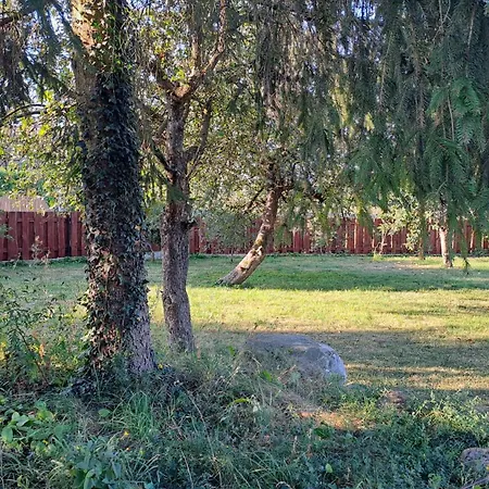 펜션 Dom Na Mazurach Balia Z Jacuzzi